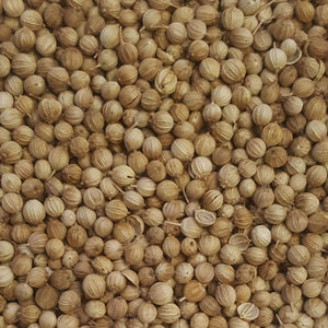 Coriander Seed