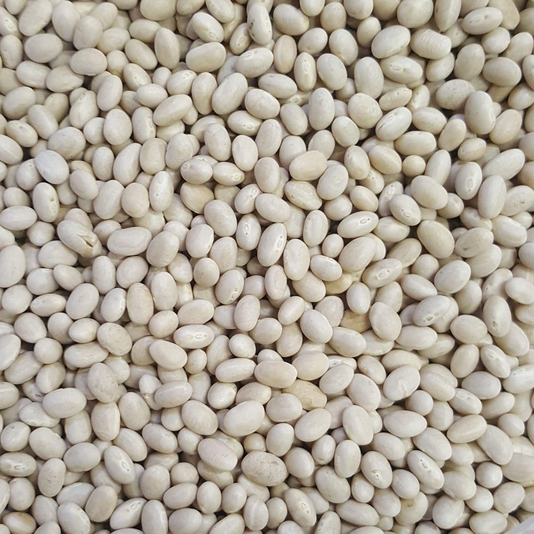 Haricot/Navy Beans